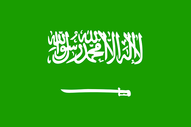 You are currently viewing المملكة العربية السعودية