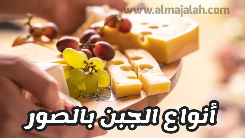 أنواع الجبن بالتفصيل (صور) 8 أنواع الجبن بالصور - كل أنواع الجبن بالصور