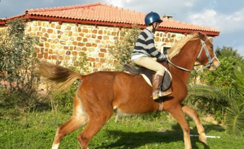 أشهر دور الضيافة في بنزرت 22 Equitation a la maison dhote Dar el Jenna