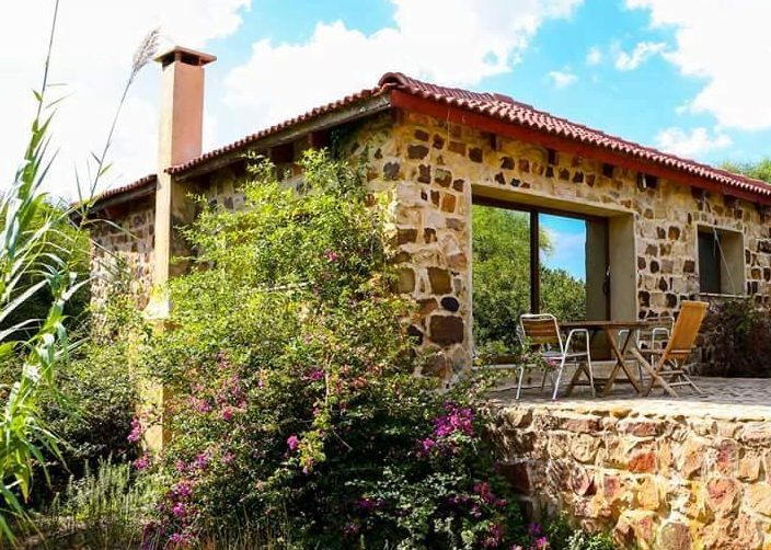 أشهر دور الضيافة في بنزرت 25 Maison dhote Dar el Jenna 1