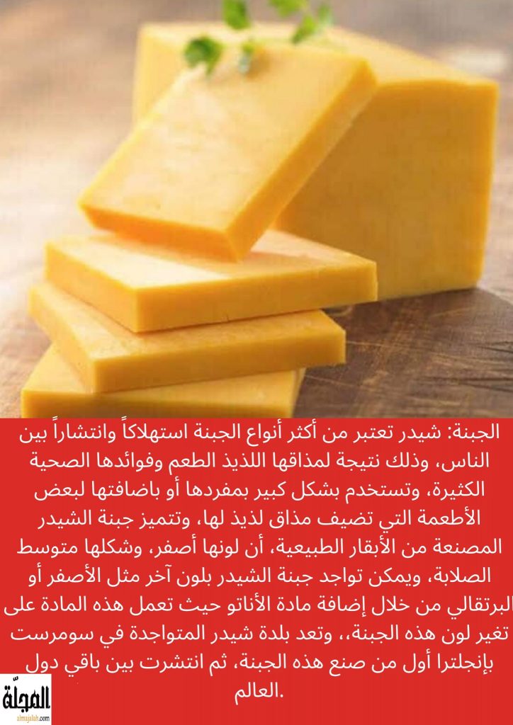 الجبنة شيدر تعريفها و فوائدها