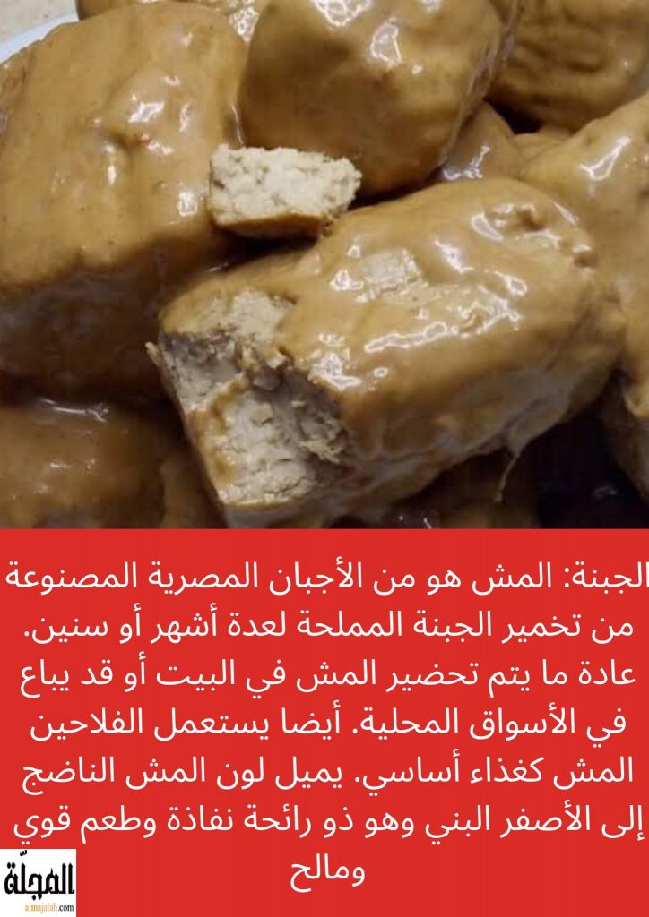 جبنة المش تعريفها و فوائدها