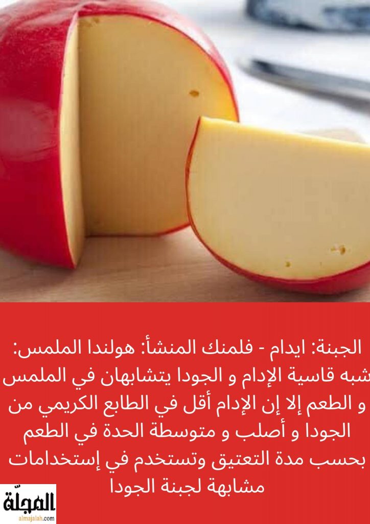 جبنة ايدام تعريفها و فوائدها
