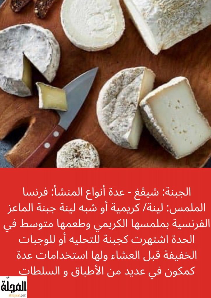 جبنة شيقغ تعريفها و فوائدها