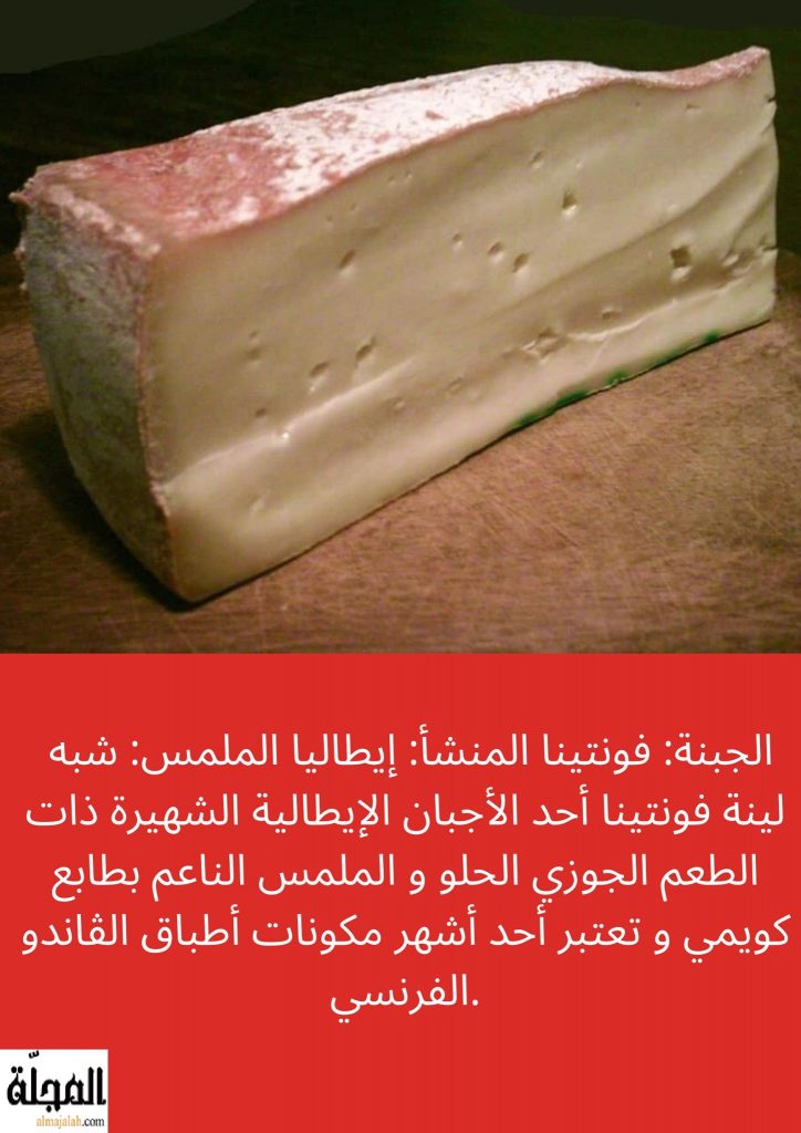 جبنة فونتينا تعريفها و فوائدها