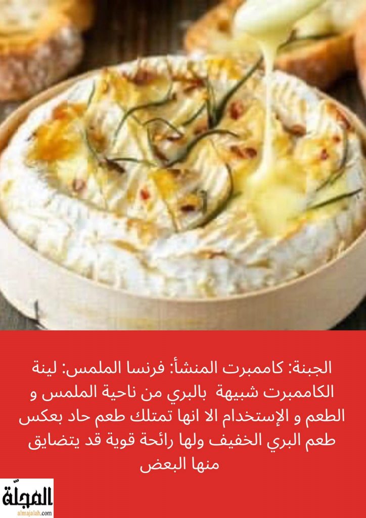 جبنة كاممبرت تعريفها و فوائدها