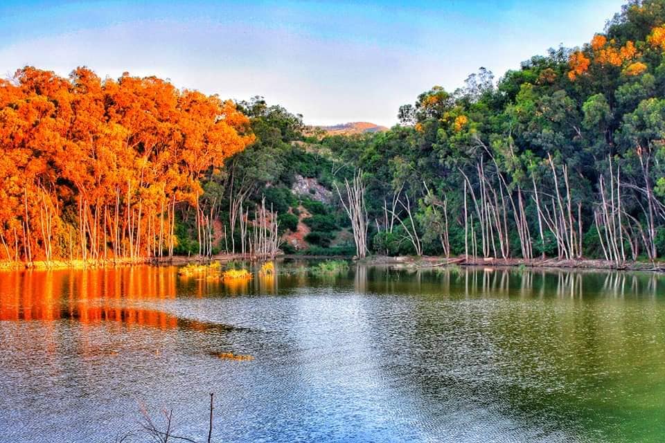 تعرف على شاطئ حلق الواد الزوارع بمعتمدية نفزة ولاية باجة (فيديو) - المجلة