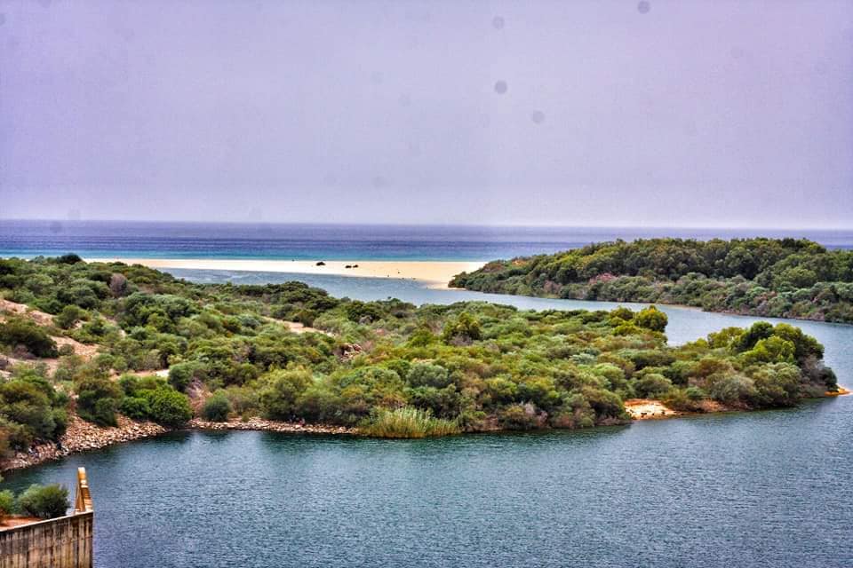 دول قارة افريقيا Archives - المجلة