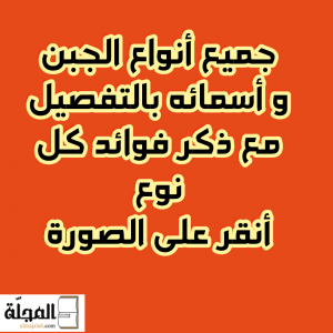 أنواع الجبن بالتفصيل (صور) 3  جميع أنواع الجبن في العالم بالصور و الفيديو مع تحديد أسمائهم و فوائد كل نوع: مجالات الاستعمال في المطبخ