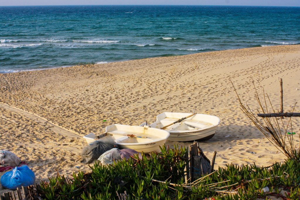 هل ولاية باجة فيها بحر؟ الإجابة الكاملة بالصور - المجلة