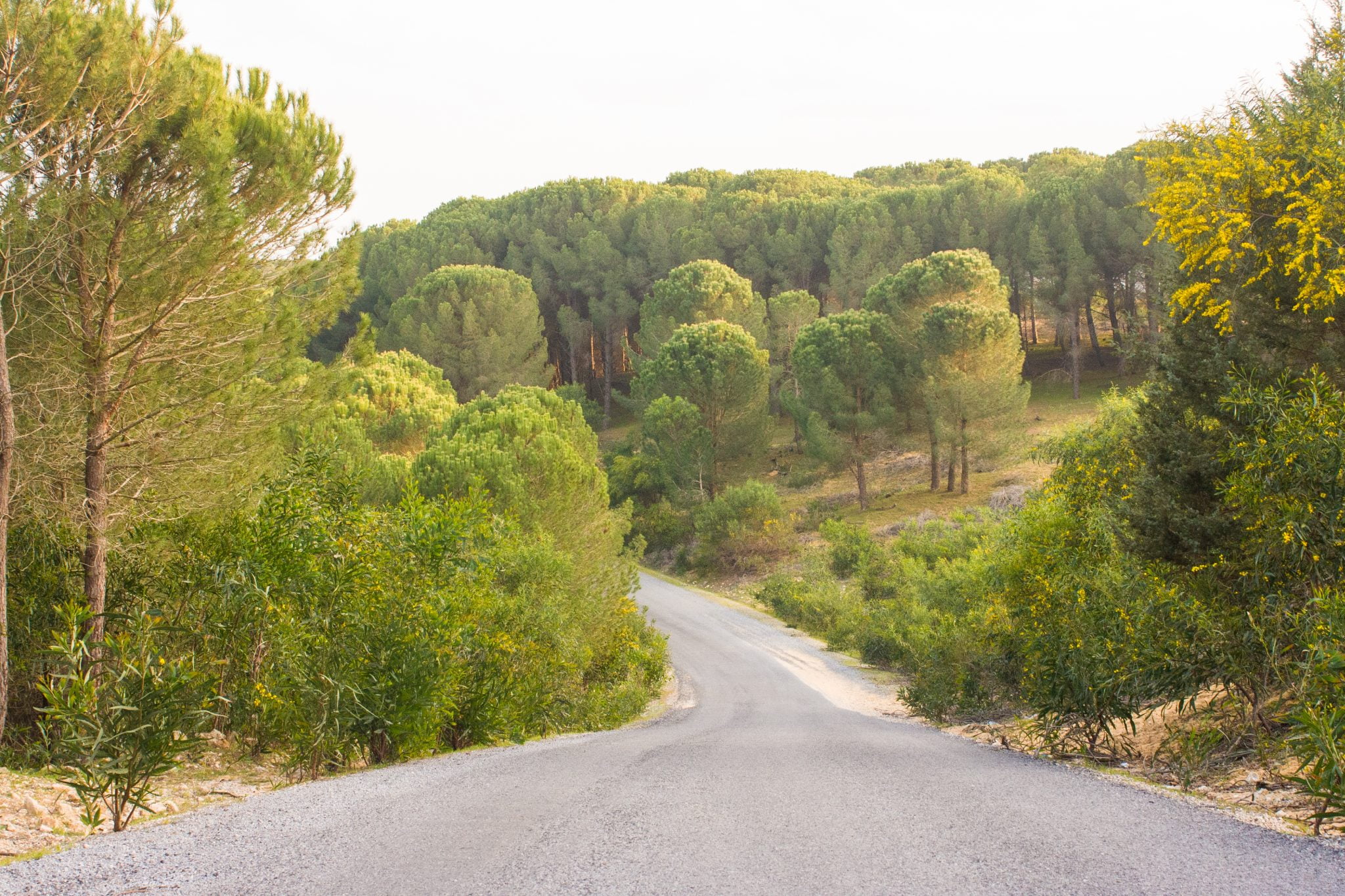 هل ولاية باجة فيها بحر؟ الإجابة الكاملة بالصور - المجلة