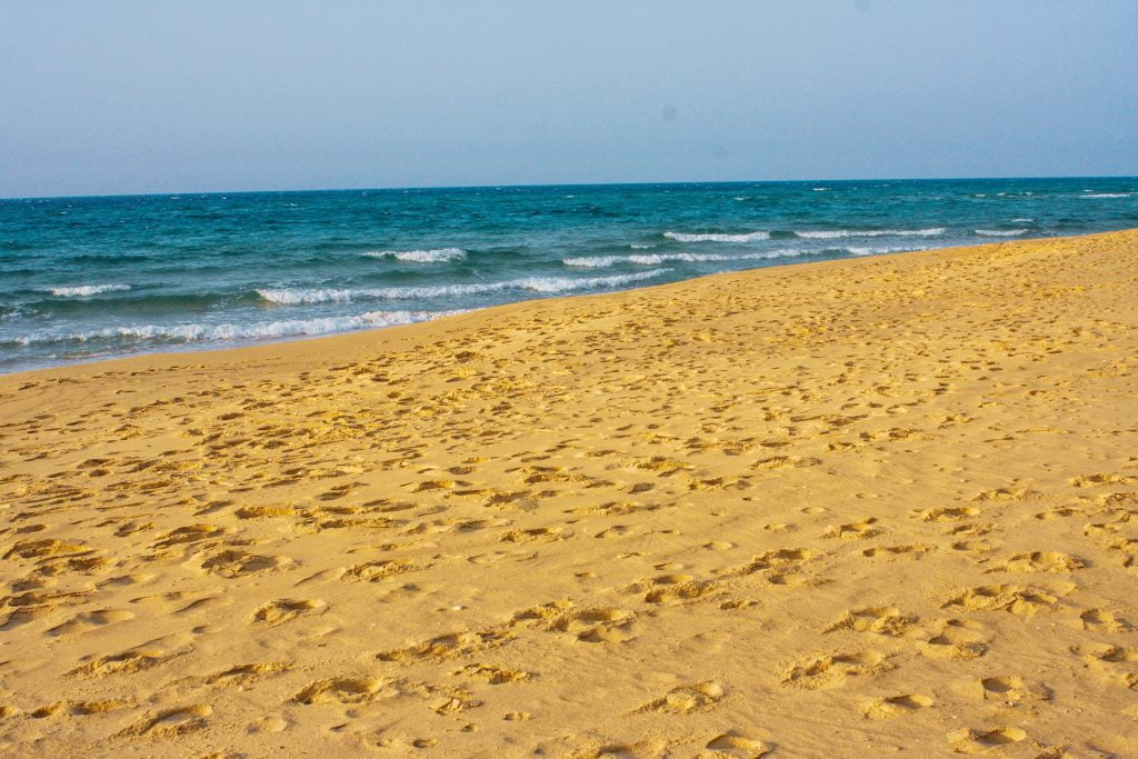 هل ولاية باجة فيها بحر؟ الإجابة الكاملة بالصور - المجلة