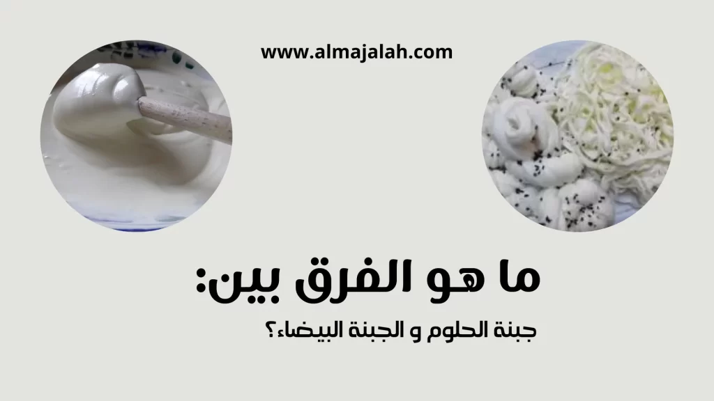 الفرق بين جبنة الحلوم و الجبنة البيضاء
