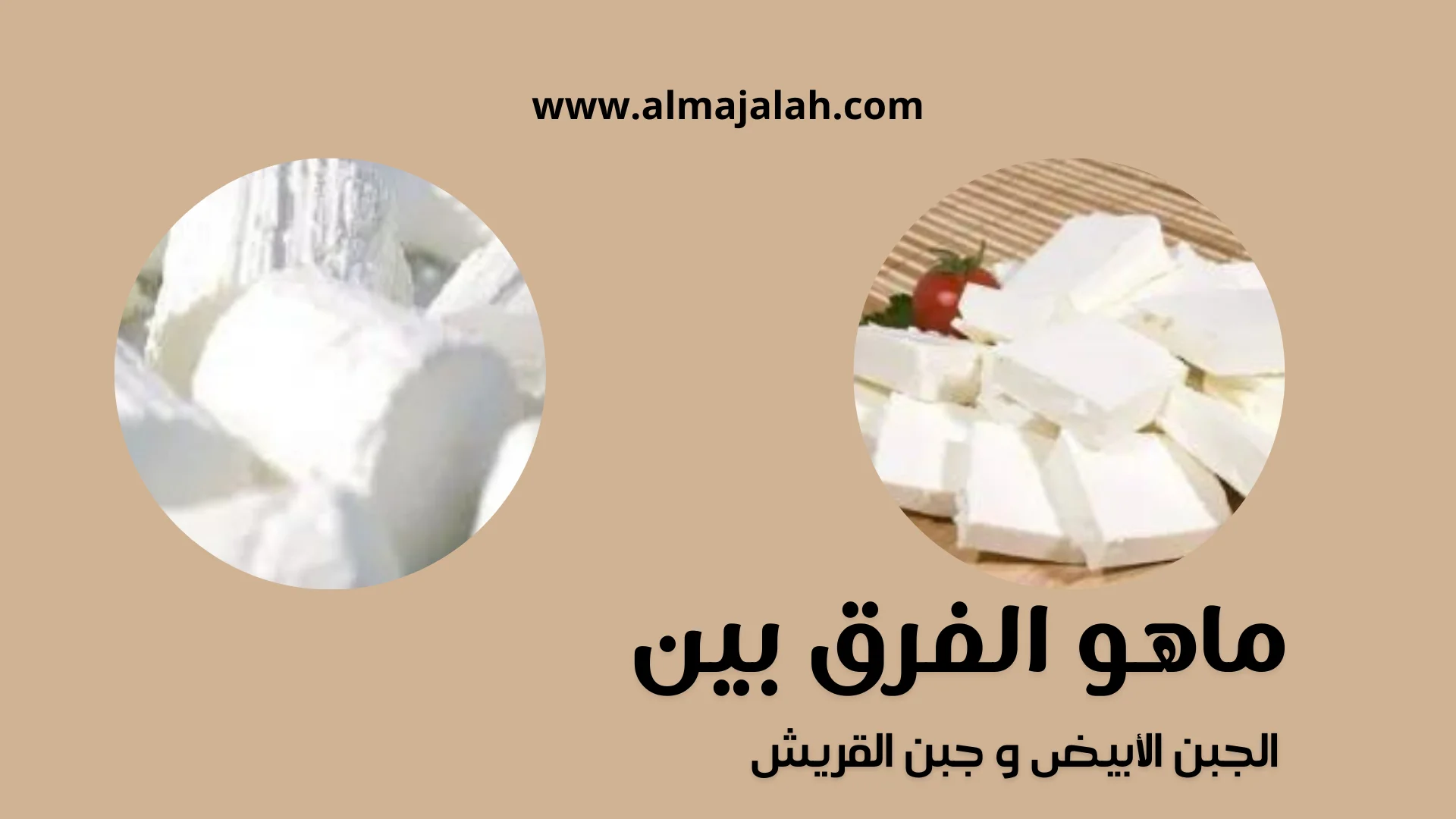 الفرق بين الجبن الأبيض وجبن القريش