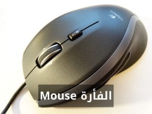 الفأرة Mouse