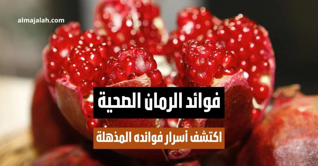 اكتشف أهم فوائد الرمان الصحية التي تجعل هذه الفاكهة الطبيعية خيارًا ممتازًا لصحة قلبك، تقوية المناعة، تحسين الذاكرة، والحفاظ على نضارة البشرة والشعر.